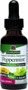 Příroda odpověď Peppermint Leaf s organickým alkoholem, 1-Fluid Ounce current 124; Stravovací podpora current 124; Minimalizovat žaludek Discomfort current 124; Dietní Bowel podpora