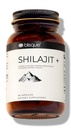 Blisque - Čisté Himalájské organické Shilajit Resin Extract Kapsle 124; Authentic and Natural Capsule 124; Golden Class A CLAS124; Obsahuje Fulvic Acid and Trace Minerals 124; 90 Kapsle
