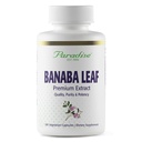 Paradise Herbs, Banaba Leaf, 12: 1 Koncentrovaný extrakt, 250 mg, Vegan, Gluten- Free, Non- GMO, 180 Kapsle