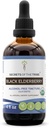 Tajemství Tribe Black Elderberry Alchol- Free tinktura (Glycerite) 680 mg USDA Organic Black Elderberry (Sambucus Nigra) Sušený Berry (4 Fl Oz) Imunitation Supplement