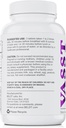 BELDT Labs VASST Nitric Oxide Booster, N.O. dodatek s více než 3,000mg Arginine- AKG, OKG, GKG, a L-Arginin HCL pro budování svalů a zlepšení vaskularity - 90 Tablety