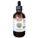Ginkgo Alcohol- Free Liquid Extract, Organic Ginkgo (Ginkgo Biloba) Sušený Leaf Glycerite Hawaii Pharm Natural Herbal Dodatek 4 oz