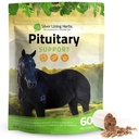 Silver Lining Byliny Pituitary Gland doplňky pro koně - Koňské doplňky pro Equine Metabolic Support, Cushing 's, Pocení a vypouštění otázek - Mood & Energy Horse Supplement - 1 LB 60- Day Supply