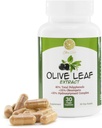 Olive Leaf Extract - 500mg - Doplněk Standardizovaný na 25% Oleuropein - 20% Hydroxytyrosol - 40% Polyfenoly - Non- GMO + Gluten Free + Dairy Free + Soy Free + Vegan (30 Kapsle)
