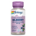 SOLARAY Bilberry Extract 160 mg, Eye Health & Circulation Support, 36% Anthocyanosids Plus Blueberry, Vegan, 30 VegCaps