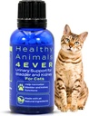 HA4E - Cat UTI Remedy - Natural Ledviny Podpora pro kočky - Podporuje močové měchýře & Močové zdraví - Renální čistota - Non- GMO, Organic, Chemical- Free - 300 Tablety