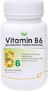 Pub Nutraceuticals Vitamin B6 (Pyridoxin Hydrochloride) Dodatek 124; 60 Veg Kapsle