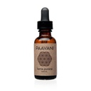 PAAVANI Ayurveda Ušní olej - Made in USA - Ayurvedic Herbal Ušní kapky - Itchy Uši & Earche Relief - 100% Organic, 1 oz