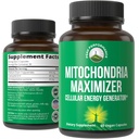 Mitochondria Maximizer s CoQ10 a aktivní PQQ. Nejlepší Mitochondrial Support Dodatek s MCT Oil. Přírodní celulární generátor pro čisté, Focused Energy 60 Vegetariánské kapsle