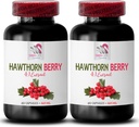 Hawthorn extrakt doplněk - HAWTHORN BERRIES EXTRACT - bobule doplněk, antioxidant doplněk pro ženy, antioxidant bobule, organické hloh bobule extrakt, antioxidanty pro ženy 2 Bot 120 Caps