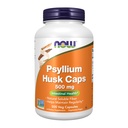 Nyní Potraviny doplňky, Psylium Husk Caps 500 mg, non-GMO projekt ověřený, přírodní rozpustný fiber, střevní zdraví *, 500 Veg Kapsle