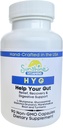 Nápověda Your Gut with Digestive Enzymes & Probiotics for Digestive Health - Podporuje zdravé Gut, střevní funkce a absorpce - Non- GMO, gluten zdarma