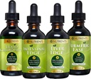 Přejít Nutrients Digestion & Detox Bundle - tekutý chlorofyl, jaterní hrana, střevní hrana, kurkuma - podporuje čištění, trávení, zdraví jater, a tělo obrany, revitalizace kůže a vitality
