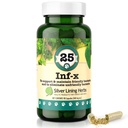 Silver Lining Byliny 25 Psince INF-X - Pomáhá udržet zdravé trávení úrovně - Přírodní podpora pro normální detoxifikační proces - Bylinný doplněk zdraví pro psy - 90 Kapsle