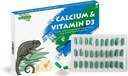 Příplatek kalcia plazi s přidaným vitaminem D3 ideální pro vleklé draky, Želvy & Více