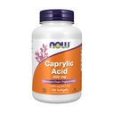 Nyní Potraviny Doplňky, Kyselina kapylová 600 mg, MCT (Triglyceridy středního řetězce), 100 Softgels