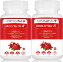 Lipozomální Urolithin A dodatek 2000MG pro energetiku 120 Kapsle