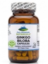 Ginkgo Biloba Kapsle - Kosher Vegan Caps s 400mg Ginkgo Biloba Leaf a Ginko Extract Dodatek
