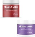 Amla Powder & Green Tea Superfood Dodatek, Antioxidant Support, Made with Hibiscus (90 porcí) & Bezinky (30 porcí), Organic, Vegan