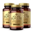 Solgar Folate 666 mcg DFE (kyselina listová 400 mcg) - 250 tablet, balení po 3 tabletách - Prenatální podpora - Non- GMO, Vegan, Gluten Free, Dairy Free, Kosher - 750 Celkem Služeb