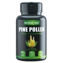 Pine Pollen dodatek wtih Ginger Root a Vitamin C, 99% Prasklé buněčné zdi, 120 Veggie Kapsle Zaostřit Imunitní zlepšení pro ženy a muže