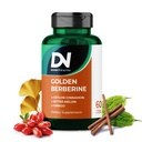 4-in-1 Golden Berberine dodatek s Ceylon Skořice Bitter Melon Ginkgo, Zvyšuje imunitu, Gut & srdce zdraví, 60 Kapsle pro podporu metabolismu Vyrobeno v USA