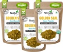 Naturefi Organic Goldenseal Root Powder - 10.5 oz, 300 Servings * USDA Organic Appendix 124; Lab Tested * Pure Natural Goldenseal Root Powder