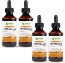 Maxx Herb Astragalus Root Extract - Max síla tekutá tinktura Absorbuje lepší než kapsle nebo prášek, pro imunitní podporu a duševní jasnost - 4 láhve, 4 Oz každý (240 Servings)