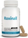 Stamina pilulky pro muže - Vyrobeno s L Arginine & Maca - Vylepšení výkonu & Vytrvalost, Stamina pocit silnější, 60 Kapsle