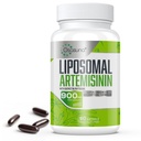 900 mg Lipozomální artemisinin pro maximální absorpci, extrakt ze sladkého Wormwoodu (Artemisia Annua) s Quercetin Phytosome 200 mg, 60 Softgels - 2 měsíce
