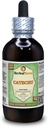 Katech (Acacia Catechu) Glycerit, sušený Herb Alcohol- Free Liquid Extract (Značka: HerbalTerra, Proudly Made in USA) 4 fl.oz (120 ml)