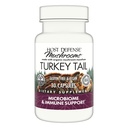 Hostitelská obrana Turecko Tail Kapsle - Stravovací zdraví a imunitní odpověď Supplement - Houbový dodatek pro Gastrointestinální a Gut Mikrobiome Support - 30 Kapsle (15 Služeb) *