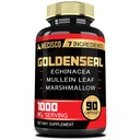 Goldenseal Root Capsule s Echinacea, Mullein Leaf, Plantain & More - 90 Veggie Kapsle - 7in1 Podporuje imunitní systém, trávicí zdraví, hladké dýchání, a řízení těla