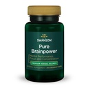 Swanson Pure Brainpower Brain Health Cognitive Memory Focus Support Brain- Derived Neurotrophic Factor (BDNF) Bylinný doplněk (Ginkgo Biloba, Bacopa Monnieri) 60 Veggie Kapsle (Vegan Caps) Vegan