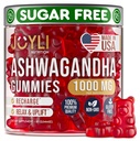 Ashwagandha Gummies for Women & Men - Natural Calm Gummies with Ashwagandha Root Extract Vitamin C Zinek - Ashwagandha Bylinný dodatek pro spánkový stres Balance - 60 Vegan Cukr zdarma Žvýkačky