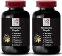 Berry Výhody - RESVERATROL Complex - Přírodní fúze, Aktivní životní styl, Hydratační faktor, Goji Berry Power, Acai Berry Boost, Osvěžující Flavor, Živina bohaté, Denní antioxidanty 2 Lahve 120 Caps