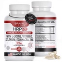 L- Lysin 250mg Kapsle - Imunní a studená Sore Support - Vegan, Non- GMO, Allergen- Free, 3rd- Party Testováno, Lisina 1000 mg Organica - Made in USA