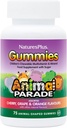NaturesPlus Animal Parade Source of Life Gummies - Natural Orange, Grape and Cherry Flavors - 75 Animal Shaped Gummies - Whole Food Kid 's Multivitamine - Gluten- Free - 37 Služení