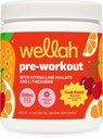 Wellah Pre- Workout Drink Mix (Ovocný punč ochucený, 30 Služeb) - s Citrulline Malate a L- Theanine, 200mg přírodního kofeinu & 1000mg Beta- Alanine