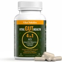 Vital Gut Health 4in1 Vzorec s jablečným octem, Prebiotika a Probiotika, Digestivní Enzymy pro silnou podporu imunity a kompletní podporu výkrmu a trávení