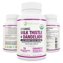 Max Absorpce USDA Organic Milk Thistle Potent 5: 1 Koncentrovaný extrakt (2000mg síla) & Organic Dandelion Root Current124; Silymarin Antioxidant Flavonoid Current124; Dodatek k podpoře jater (60 Počet balení po 1)