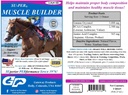 SU-PER Muscle Builder Horse Supplement - Školení a podpora výkonu pro cvičení svalů - 1 Gallon + čerpadlo