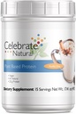 Oslavte Vitamíny Vegan Protein Powder - Všechny přírodní rostliny na bázi protein Shake Mix - 20g Pea Protein & 3g Fiber, pro post- Bariatric chirurgie - Vanilla Chai (15 Služeb)