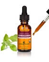Herb Pharm Organic Ashwagandha Liquid Extract, Alcohol- Free: Mood Support Supplement, Vegan Ashwagandha Root Glycerite, Tasty Non-Bitter Adaptogen Extract pro dospělé, Non- GMO, 1 Oz