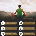 Shilajit Pure Himalayan Organic Resin Gel - Energy Boost, Digestive Health & Imunitation Support - Stopy Minerály Přírodní Black Shilajit pro muže a ženy - Bohaté na Fulvic acid, železo, hořčík (60 Grams)