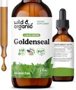 Wild & Organic Goldenseal Root Tincture - Lung Cleanse, Imunite & Digestive Supplement - Liquid Goldenseal - Vegan, Cukr & Alcohol- Free Herb Drops - 2 fl oz
