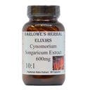 Cynomorium Songaricum Extract 10: 1 cd 124; 600mg per capsule cut 124; Bylinný doplněk pro Staminu, Vitalitu & Wellness cut 124; 60 Vegan capsules cut 124; Stearate-Free, Glass Bottled