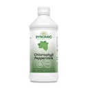 Dynamic Health Liquid Chlorofyl Peppermint 100 mg, Natrium Copper Chlorofylins with Alfalfa and Mulberry Leaves, Plant Cleanse and Deodorating, No Add Sugar, 16 Fl Oz