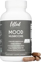 Mood Houby - Lifted Houby Supplement - Lion 's Mane, Reishi, Chaga, Turkey Tail, Maitake - Energy, Focus, Stress Relief