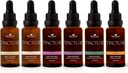 Plant Therapy Organic Tinctures Beginner Set 30 ml Každý z Organic Ashwagandha, Asian Ginseng, Echinacea Blend, Elderberry, Lemon Balm & Turmeric